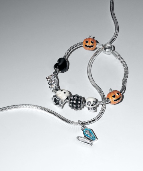 ラウンド クラスプ ウィング チェーン シルバー ブレスレット