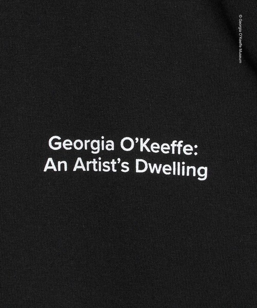 UNITED ARROWS(ユナイテッドアローズ)の「【別注】<Georgia O’Keeffe Museum> グラフィック Tシャツ(Tシャツ/カットソー・メンズ・ブラック/ホワイト・XL/M/L)」の17枚目の写真