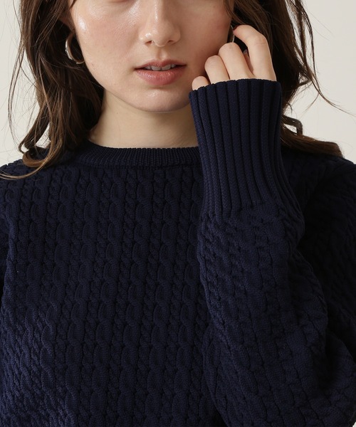 N.（N. Natural Beauty Basic）（エヌエヌナチュラルビューティーベーシック）の「ケーブルニット（ニット/セーター・レディース・ホワイト/ネイビー/ライトグリーン・MEDIUM）」の13枚目の写真