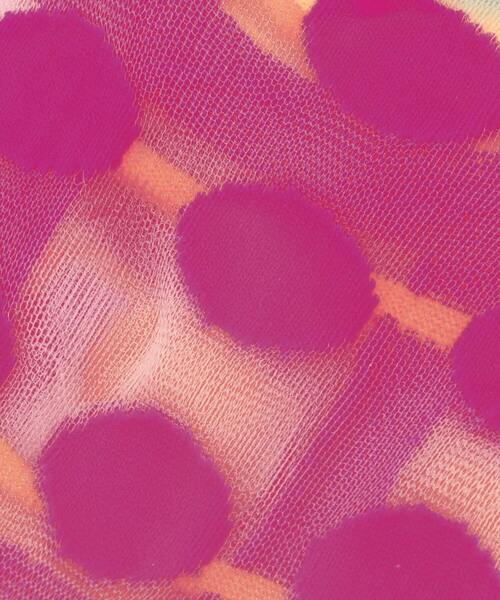 FRAPBOIS（フラボア）の「チェックスルーソックス（ソックス/靴下・レディース・ブラック/ピンク/ネイビー・FREE）」の15枚目の写真