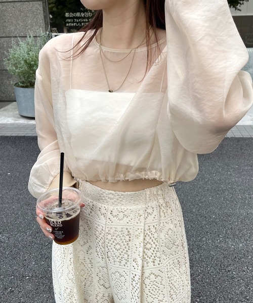 mline（エムライン）の「[mline] シアーショートプルオーバー（Tシャツ/カットソー・レディース・アイボリー/ブラック/ブラウン・FREE）」の16枚目の写真