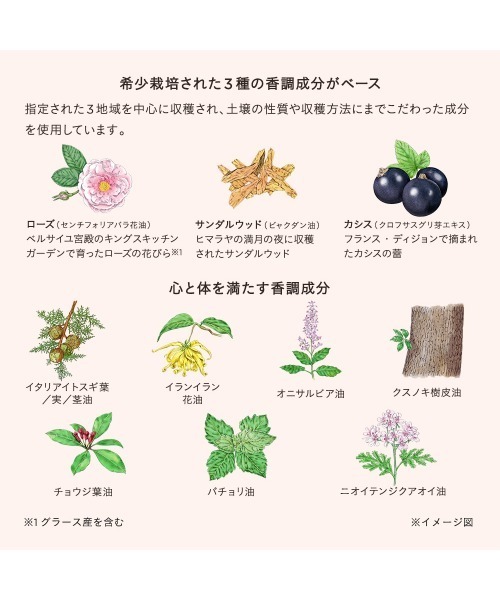 ヴァイタルスペリアローション（化粧水）｜ETVOS（エトヴォス）