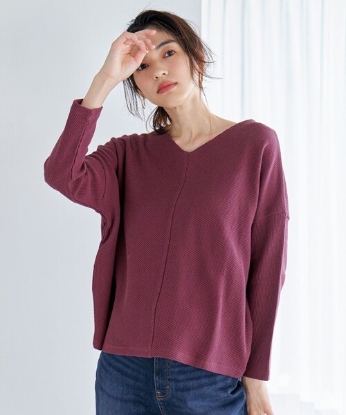 ANY(エニィ)の「【洗濯機可能】Vネックニットソー(Tシャツ/カットソー・レディース・ライトグレー系/ワイン系/グリーン系/アイボリー系・F)」の4枚目の写真