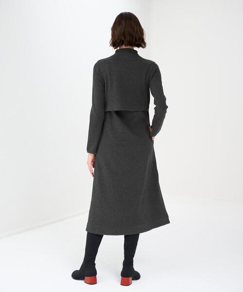 LANVIN en Bleu(ランバンオンブルー)の「ミニマルフレアカットソーワンピース(ワンピース・レディース・チャコールグレー/ブラウン・38/36)」の11枚目の写真