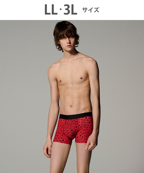 WACOAL MEN <N.HOOLYWOOD TPES>コラボ 【PANTS HOLIC】 ボクサー
