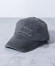 【Dickies】DK EX PIGMENT FRINGE LOGO CAP /キャップ/アジャスタブル/ストラップバック/フリーサイズ/帽子/ディッキーズ