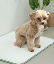 ohnola（オノラ）の「Ohnola/くり返し洗って使えるペットトイレSサイズ2枚セット（その他ペットグッズ）」