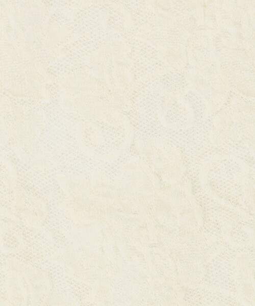 SWEDISH STOCKING(スウェディッシュストッキングス)の「<SWEDISH STOCKINGS>Lily レースソックス< Select by EMMEL REFINES >(ソックス/靴下・レディース・オフホワイト・FREE)」の4枚目の写真