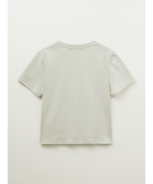 PEEVES PEEVES(フィブス フィブス)の「スキャンドニードルワーククロップドTシャツ / ライム(Tシャツ/カットソー・レディース・その他・FREE)」の3枚目の写真