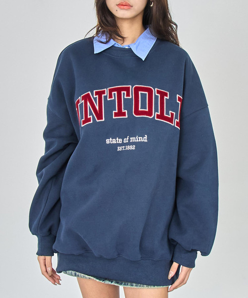 ANAP（アナップ）の「ベロア刺繍 オーバーサイズ スウェット プルオーバー（スウェット・レディース・ブラウン/ライトグレー/オレンジ/ネイビー・F）」の4枚目の写真