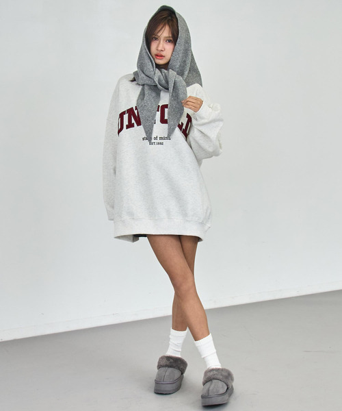 ANAP（アナップ）の「ベロア刺繍 オーバーサイズ スウェット プルオーバー（スウェット・レディース・ブラウン/ライトグレー/オレンジ/ネイビー・F）」の5枚目の写真