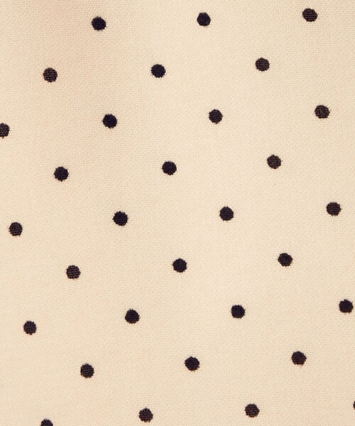 DEICY（デイシー）の「ドットオープンカラーオールインワン（つなぎ/オールインワン・レディース・アイボリー/ブラック・0/1）」の14枚目の写真