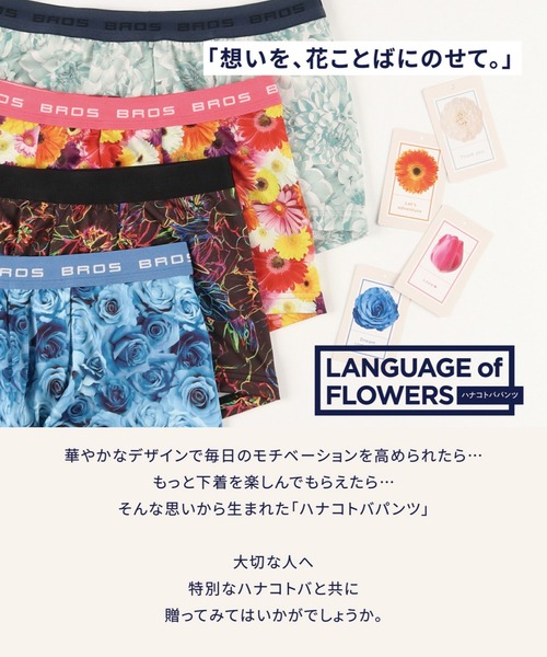 BROS by WACOALMEN（ブロスバイワコールメン）の「ボクサーパンツ　前閉じ（ボクサーパンツ・メンズ・ライトピンク/サンドベージュ/イエロー/ブルー/サックスブルー/ブラック/アイボリー/ピンク系その他/ダークパープル/クリーム/グレイッシュブルー/エンジ・M/L）」の17枚目の写真