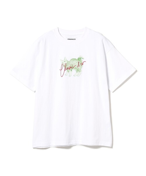 CHARI&CO（チャリアンドコー）の「CHARI&CO / INTMIDATION CAT TEE（Tシャツ/カットソー・メンズ・ホワイト・M/S/L/XL）」の10枚目の写真
