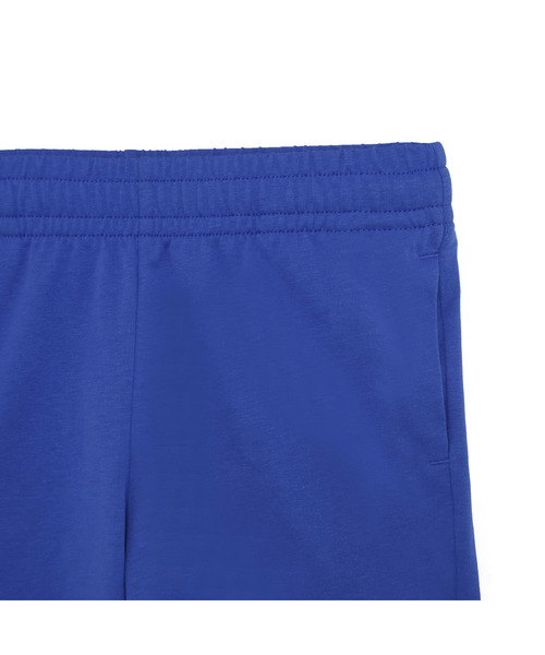 PUMA（プーマ）の「PUMA プーマ ボーイズ ESS 2 カラー NO. 1 ロゴ 半袖 Tシャツ アンド ショーツ（ジャージ・キッズ・レッド系その他/ブルー系その他/ホワイト×ブルー・130/140/120/150/160）」の22枚目の写真