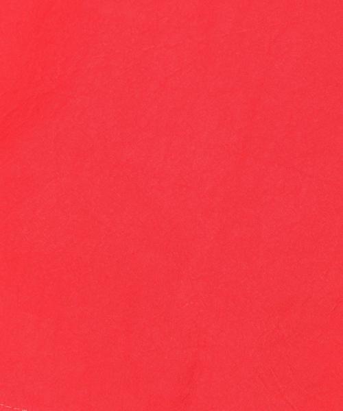 Another Edition(アナザーエディション)の「パフスリーブブラウス3 ◆(シャツ/ブラウス・レディース・レッド/ブラック/オフホワイト・FREE)」の17枚目の写真