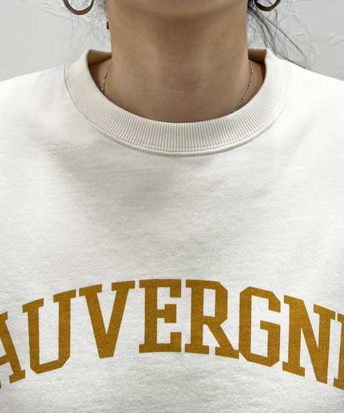 LOWRYS FARM(ローリーズファーム)の「カレッジウラケ6S 191372(Tシャツ/カットソー・レディース・グレー/チャコールグレー/アイボリー・FREE)」の10枚目の写真