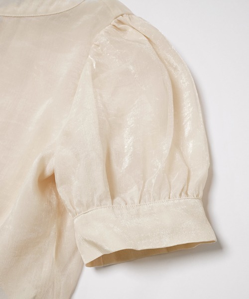 flower（フラワー）の「グロスリボンハーフブラウス（シャツ/ブラウス・レディース・グレー/アイボリー・FREE）」の5枚目の写真