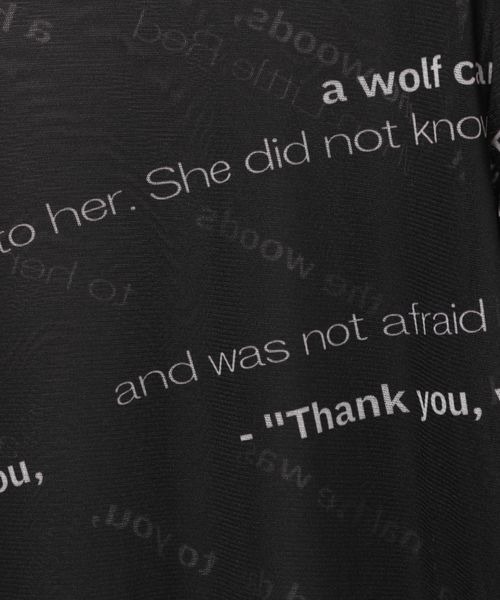 JEANASIS(ジーナシス)の「バイアスロゴシアーLS TEE/104706(Tシャツ/カットソー・レディース・ブラック系その他/グレー系その他/ホワイト系その他/レッド系その他・FREE)」の17枚目の写真