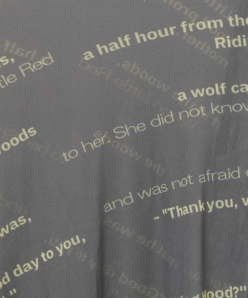 JEANASIS(ジーナシス)の「バイアスロゴシアーLS TEE/104706(Tシャツ/カットソー・レディース・ブラック系その他/グレー系その他/ホワイト系その他/レッド系その他・FREE)」の18枚目の写真