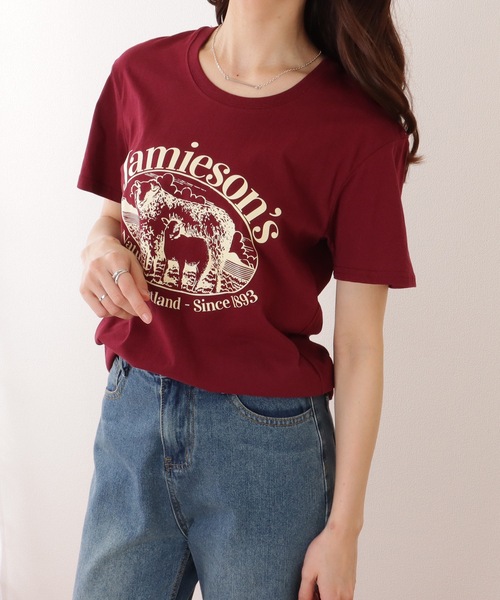 Lace Ladies(レースレディース)の「ビッグシルエット クルーネック 半袖 プリント プルオーバー(Tシャツ/カットソー・レディース・グレー/ブラック/ホワイト/ワインレッド・M/XL)」の11枚目の写真