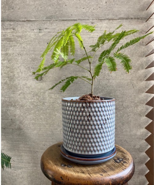 marimekko Umpuフラワーベース　オブジェ　オートミール Umpu / Flower vase（フラワーベース）｜marimekko（マリメッコ）の