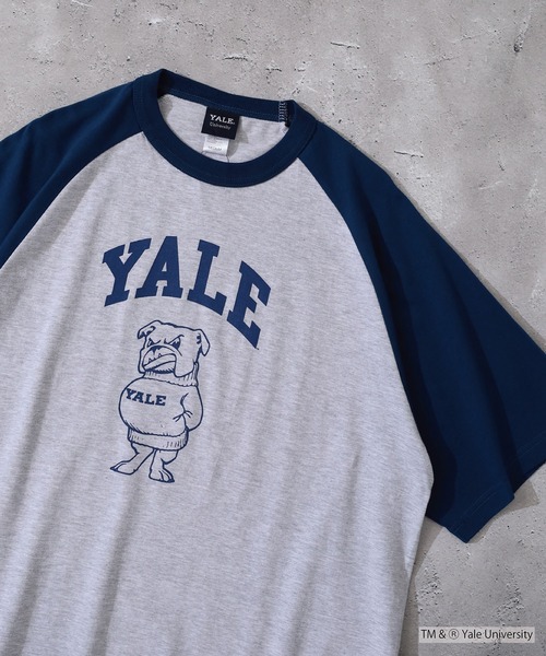FUNALIVE(ファンアライブ)の「OVERSIZED RAGLAN T-SHIRT カレッジ ラグラン(Tシャツ/カットソー・メンズ・ネイビー/グリーン・L/M)」の4枚目の写真