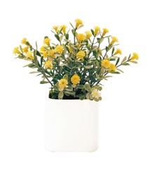 BACKYARD FAMILY（バックヤードファミリー）の「光触媒 インテリアグリーン ラウンドポット キューブポット（インテリア雑貨）」