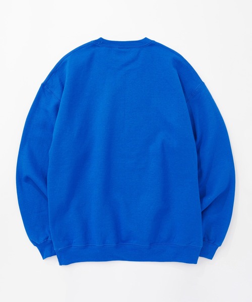 KAVU（カブー）の「KAVU/カブー 22 Dog Sweat/ドッグスウェット（スウェット・メンズ・ロイヤルブルー/グリーン/ライトブルー/アッシュグレー/グレー/ホワイト・MEDIUM/X-LARGE/LARGE）」の9枚目の写真