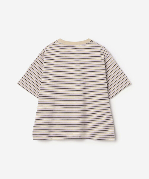 DANTON(ダントン)の「DANTON | コットン天竺 ボーダー ショートTシャツ WOMEN(Tシャツ/カットソー・レディース・ベージュ系その他/グリーン系その他/ブルー系その他/ホワイト系その他5・M)」の6枚目の写真