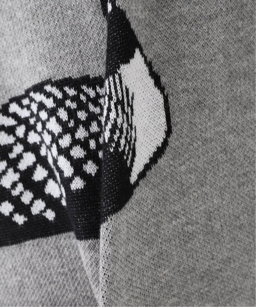 ONLY NY(オンリーニューヨーク)の「【ONLY NY / オンリーニューヨーク】Loon Knit Sweater(ニット/セーター・メンズ・チャコールグレー・MEDIUM/LARGE)」の14枚目の写真