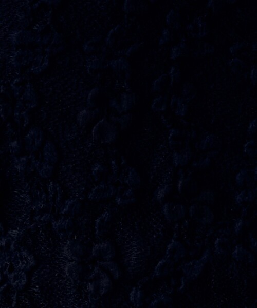 DEICY（デイシー）の「フラワーレースＶネックカットソー（Tシャツ/カットソー・レディース・オフホワイト/ブラック・FREE）」の11枚目の写真