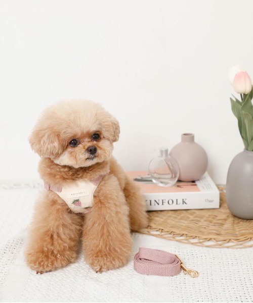 まとめ売り！モンシェリ　犬用品 ドッグウェア・犬服通販 - monchéri(モンシェリ) – moncheri