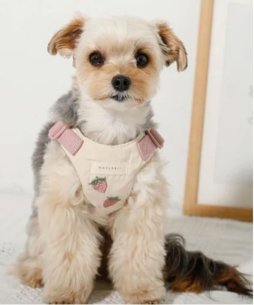 moncheri（モンシェリ）の「冷感いちご柄ハーネス+リードSET【接触冷感・ワンタッチ着脱・サイズ調整可能・８㎏まで対応】（リード/ハーネス/首輪・レディース・ピンク・S/M/L）」の11枚目の写真