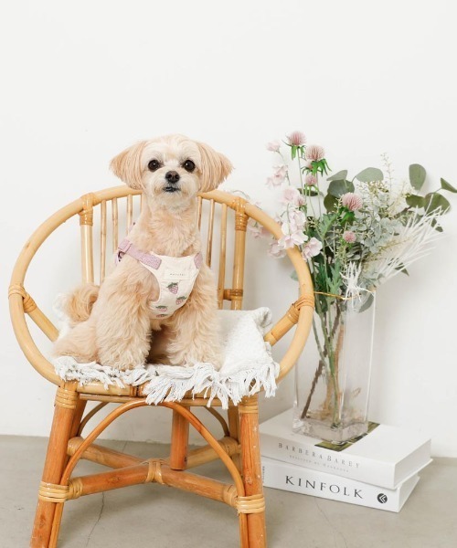 moncheri（モンシェリ）の「冷感いちご柄ハーネス+リードSET【接触冷感・ワンタッチ着脱・サイズ調整可能・８㎏まで対応】（リード/ハーネス/首輪・レディース・ピンク・S/M/L）」の19枚目の写真