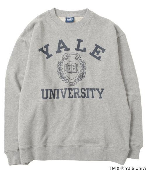 GLAZOS（グラソス）の「【YALE】フロントエンブレムロゴプリントトレーナー（スウェット・キッズ・ネイビー/グレー・S/M/L/LL）」の2枚目の写真