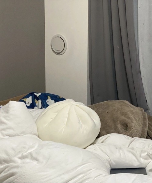 REBALANCE（リバランス）の「肉まんクッション（クッション/クッションカバー・レディース・A・ONE SIZE）」の14枚目の写真