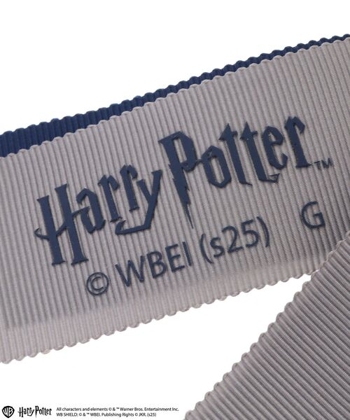Maison de FLEUR(メゾンドフルール)の「Harry Potter / リボンチャーム(チャーム・レディース・ブルー/グリーン/イエロー/レッド・FREE)」の18枚目の写真
