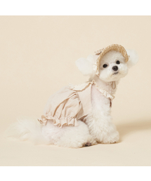 MEANINGLESS（ミーニングレス）の「レースクロップ（ペットウェア）」