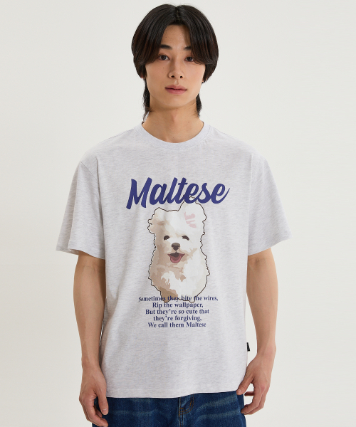 WaiKei(ワイケイ)の「クラウドイラスト 半袖Tシャツ メランジホワイト(Tシャツ/カットソー・レディース・その他・0/1/2)」の2枚目の写真