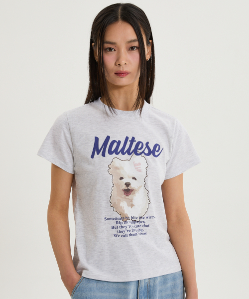 WaiKei(ワイケイ)の「クラウドイラスト 半袖Tシャツ メランジホワイト(Tシャツ/カットソー・レディース・その他・0/1/2)」の3枚目の写真