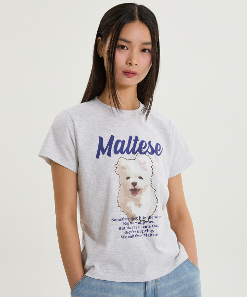 WaiKei(ワイケイ)の「クラウドイラスト 半袖Tシャツ メランジホワイト(Tシャツ/カットソー・レディース・その他・0/1/2)」の4枚目の写真