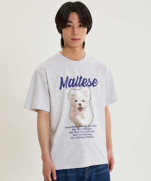 WaiKei(ワイケイ)の「クラウドイラスト 半袖Tシャツ メランジホワイト(Tシャツ/カットソー・レディース・その他・0/1/2)」の5枚目の写真