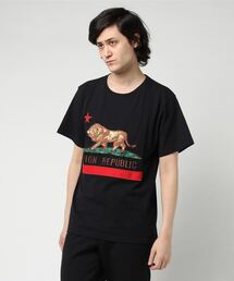 Lion Rp T / ライオンアールピーT