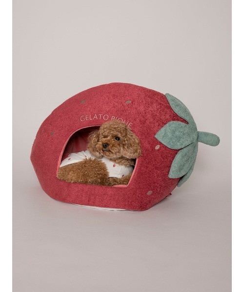 gelato pique（ジェラートピケ）の「【CAT&DOG】【販路限定商品