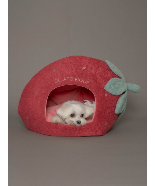 gelato pique（ジェラートピケ）の「【CAT&DOG】【販路限定商品