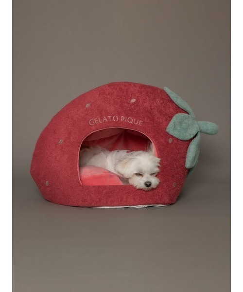 gelato pique（ジェラートピケ）の「【CAT&DOG】【販路限定商品