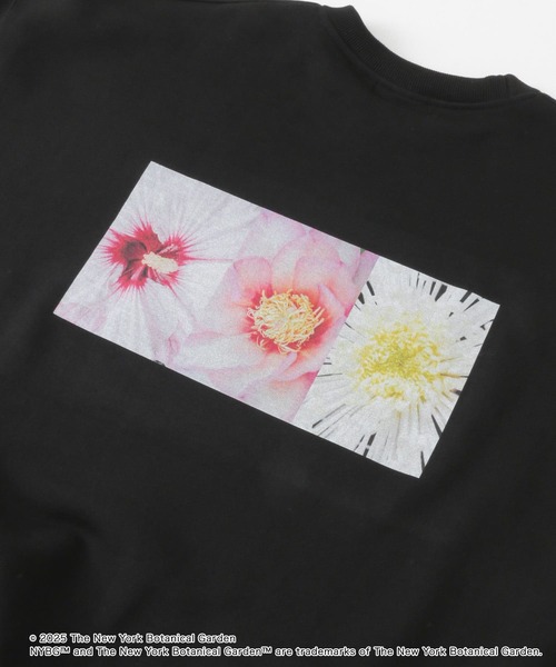 SENSE OF PLACE by URBAN RESEARCH(センスオブプレイスバイアーバンリサーチ)の「NYBG クルーネックルーズスウェットA(スウェット・メンズ・ブラック/ホワイト/グリーン・MEDIUM/LARGE)」の18枚目の写真