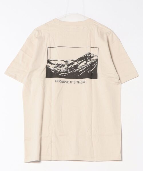 ARCHIVER(アーカイバ)の「バックプリント コットンTシャツ(Tシャツ/カットソー・レディース・B/D/C/その他4/その他7/その他/その他6/その他1/その他2/その他3/その他5/その他8・LARGE/MEDIUM/X-LARGE)」の16枚目の写真