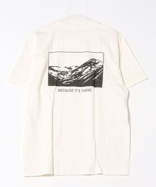 ARCHIVER(アーカイバ)の「バックプリント コットンTシャツ(Tシャツ/カットソー・レディース・B/D/C/その他4/その他7/その他/その他6/その他1/その他2/その他3/その他5/その他8・LARGE/MEDIUM/X-LARGE)」の18枚目の写真